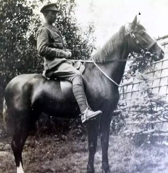 　　名字叫“锡克人”的英国战马，开战后，在东线俄罗斯从事运输物质工作，战后回到英国，据说它一直从俄罗斯南部走到法国西部。