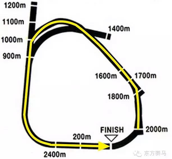 ▲图/Racing and Sports，‘模范驹’（左）