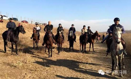 中国西部马术促进会河北会2016“新春第一骑”活动