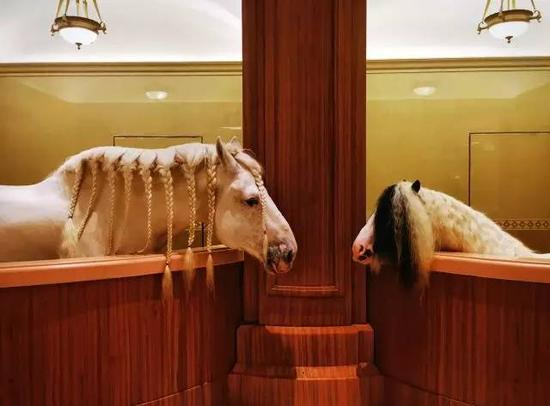 （左一）安达卢西亚马