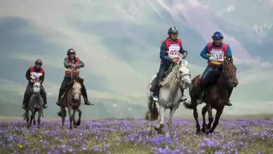 巴音布鲁克天鹅湖第五届国际马术耐力赛