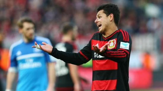 小豌豆头球中楣