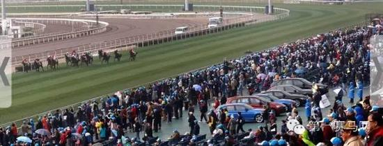 沙田马场公众席广场展出多款宝马最新系列名车。