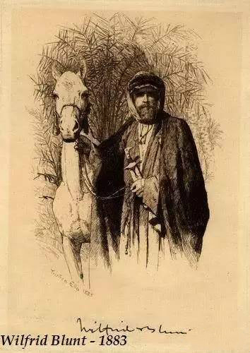 （描绘1883年Wilfrid Blunt在阿拉伯沙漠地区找寻良驹的素描）