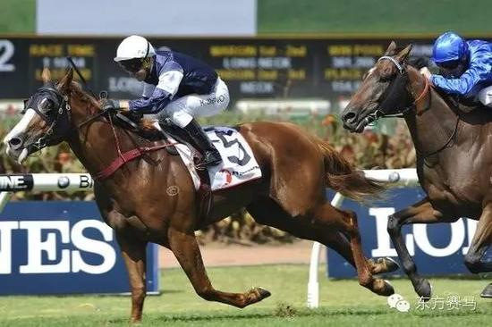 ▲图/William Hill Aus