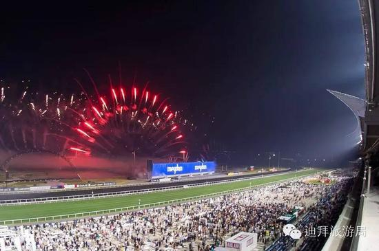 图源Dubai World Cup FB