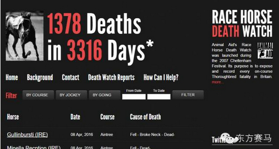 ▲图/Race Horse Death Watch