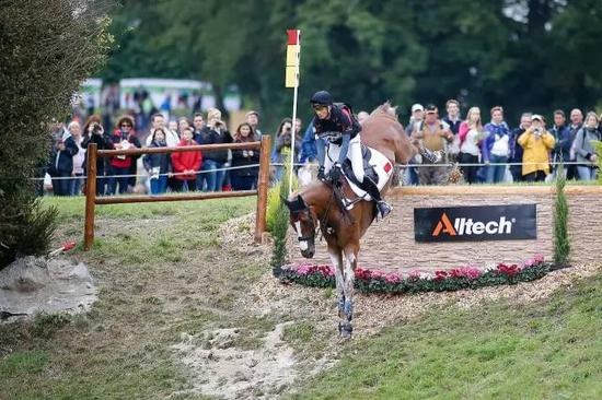 华天与“派大星”在2014年法国举办的世界马术大会 （世锦赛）越野赛 摄影：夏原浦