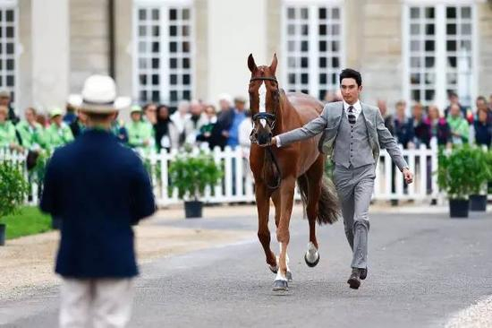 2014年，法国举办的世界马术大会 （世锦赛）验马仪式上 摄影：夏原浦