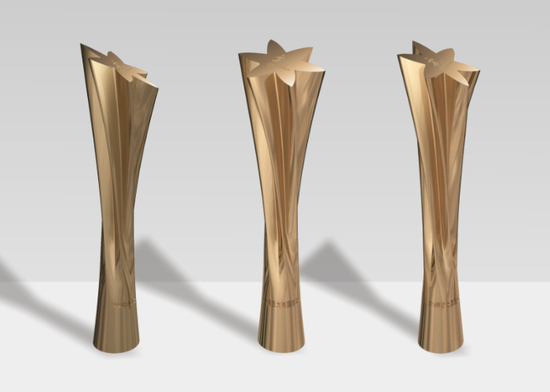 大荔马拉松奖杯