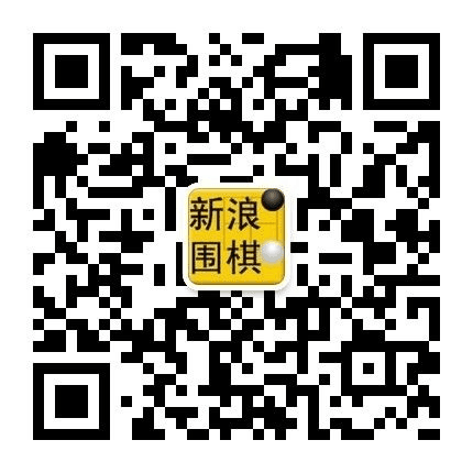 官方微信公众号“新浪围棋”