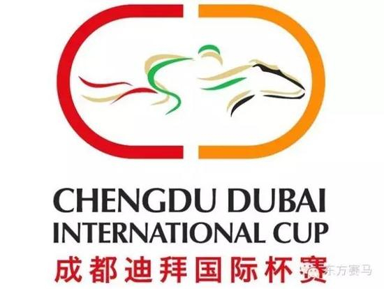 ▲图/成都迪拜国际杯