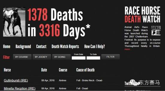 ▲图/Race Horse Death Watch