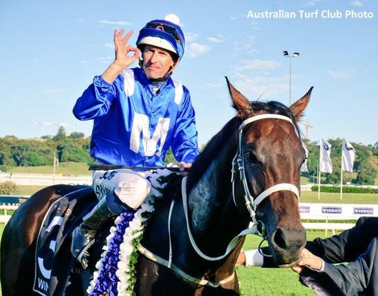 “云丝仙子”（Winx）