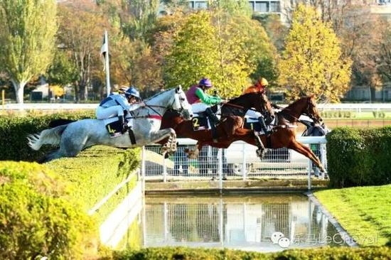 ▲ 法国AQPS参加巴黎速度障碍大奖赛