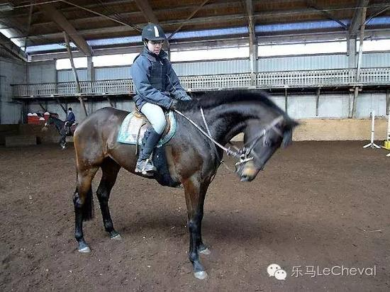 ▲ 法国AQPS马的专业训练