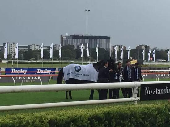 “蒙古可汗”，图片由第一赛马网提供。