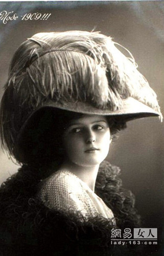 珍稀的动物羽毛