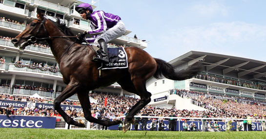 ▲图/Ladbrokes，2012年德比冠军‘帝王城堡’（Camelot）