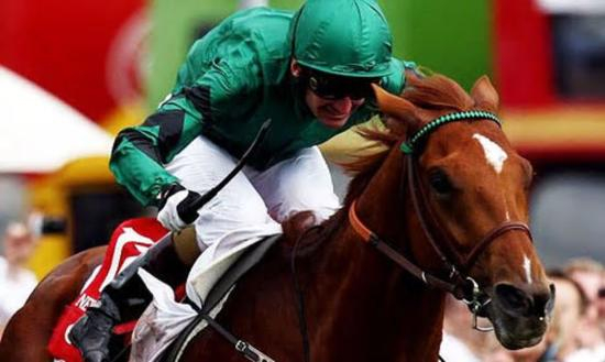 ▲图/The Guardian，2008年德比冠军‘新路向’（New Approach）