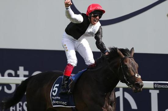 ▲图/Mirror，2015年德比冠军‘金号角’（Golden Horn）