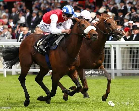 ▲图/Julian Herbert，‘有利可图’（左）