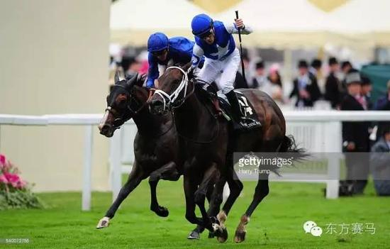 ▲图/Harry Trump，‘小圆椒’（右）