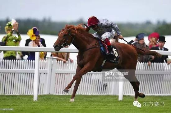 ▲图/Charlie Crowhurst