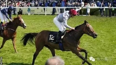 ▲图/Reuters，‘奇马 *’（右）冲过终点