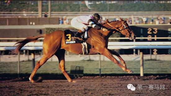 “确定无疑”（Affirmed）