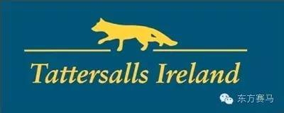 塔特索斯爱尔兰