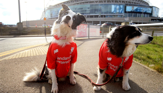 明星球员在带动球衣收入方面有那么多吗？