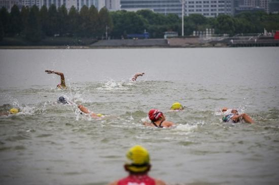 铁友迅速向对岸游进