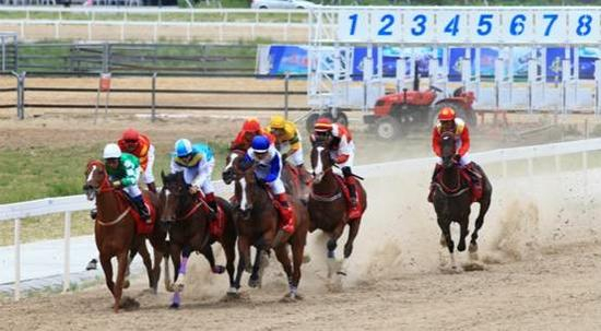 （在锡林郭勒马都赛马场举办的“2015中国马会杯·马都赛”比赛现场，图片来自网络）