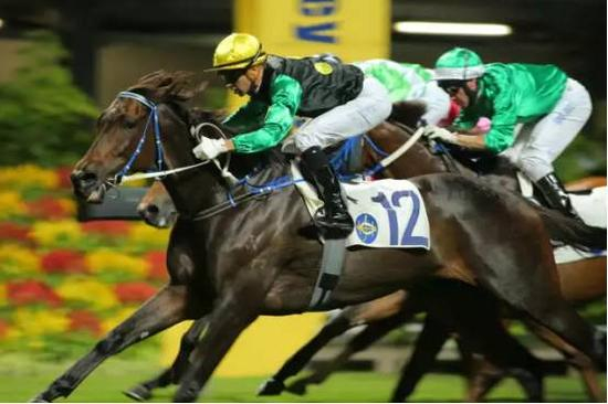 第7场 四班1650米赛事胜出马匹“事必获利”（骑师：莫雷拉）