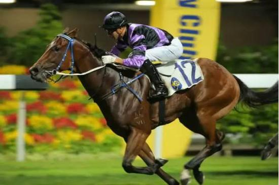 第4场 四班1200米赛事胜出马匹“全胜姿态”（骑师：莫雷拉）