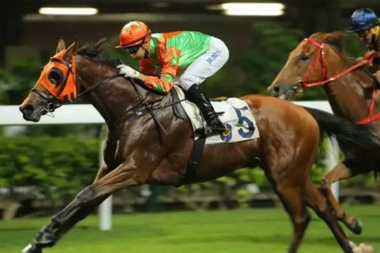 第2场 五班1200米赛事胜出马匹“岭喜峯”（骑师：莫雷拉）