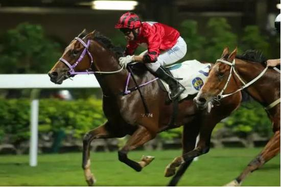 第6场 四班1000米赛事胜出马匹“君子精神”（骑师：郭能）