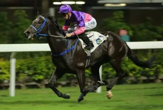 　第5场 三班1650米赛事胜出马匹“爪皇烈焰”（骑师：史卓丰）