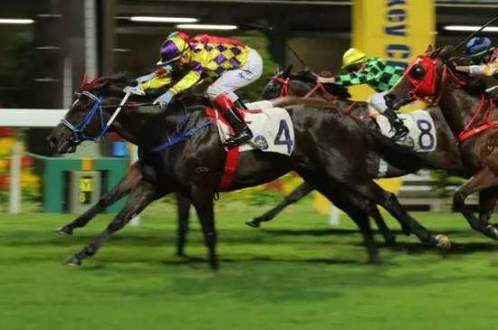 第8场 三班1200米赛事胜出马匹“越感”（骑师：韦达）