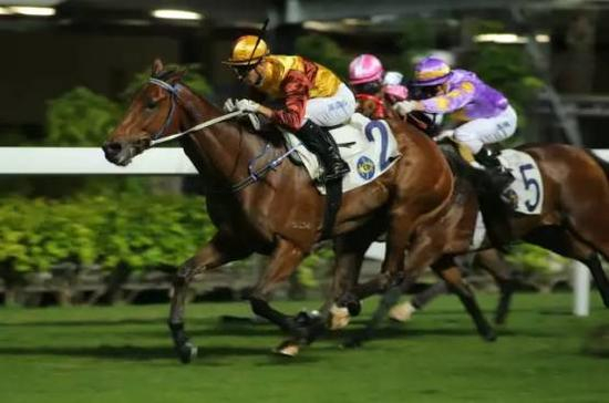 第3场 三班1650米赛事胜出马匹“索咖啡”（骑师：莫雷拉）