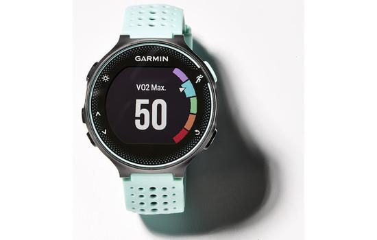 Garmin Forerunner 230