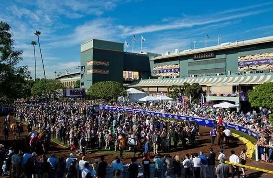 2016育马者杯赛现场，图片由Breeders‘ Cup提供。