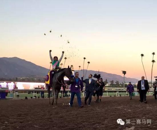 “鸠占鹊巢”幕后团队拉头马，图片由Breeders‘ Cup提供。