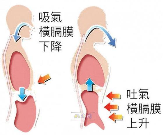 下半身肥胖mm 腹式呼吸減肥法