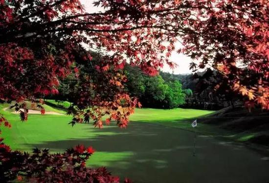 鸣尾高尔夫球场排名第96位