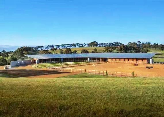 看看马厩中的那些"五星级酒店"