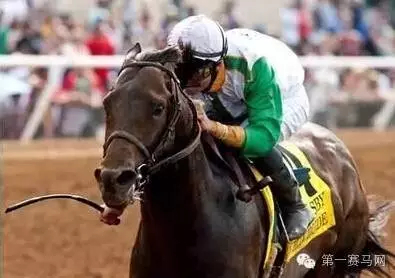 　“玉龙公子”，网络配图。