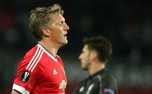 小猪的遭遇让很多人同情