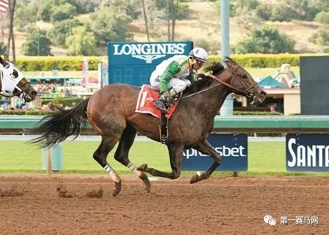 “玉龙公子”，网络配图。